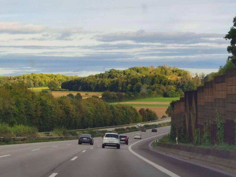 Vozila na putu pored šume